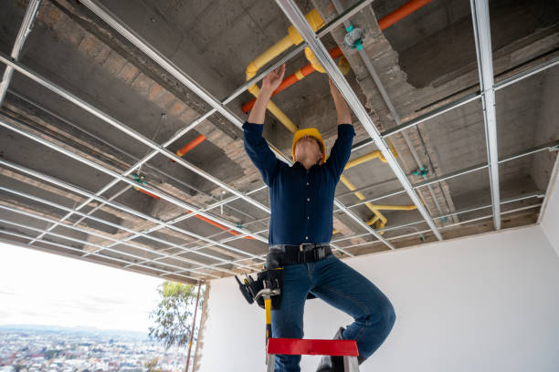 Best Plumbing Inspection Services  in Morgan Hill, PA
